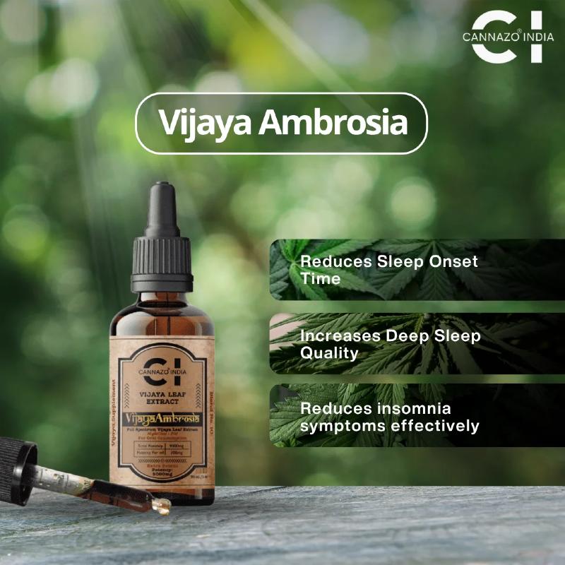 Vijaya Ambrosia CBD Oil bottle with dropper on a blurred green background, featuring product benefits.