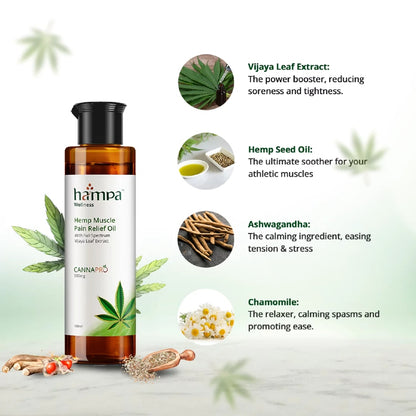 Hemp muscle pain relief oil bottle with ingredients listed on a light green background