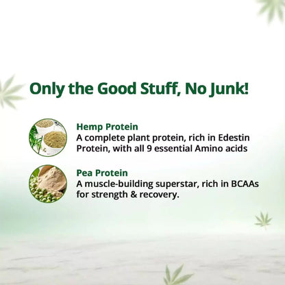 Text and images of hemp and pea protein with a green background