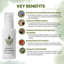 Load image into Gallery viewer, Promotional image of Nuvedic Pain Master CBD Oil bottle with a list of key benefits in green text.


