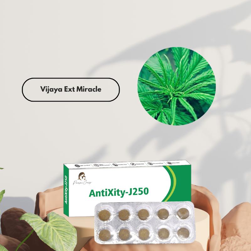 Product box and blister pack of "AntiXity-J250" with a circular inset image of cannabis leaves and the text "Vijaya Ext Miracle."