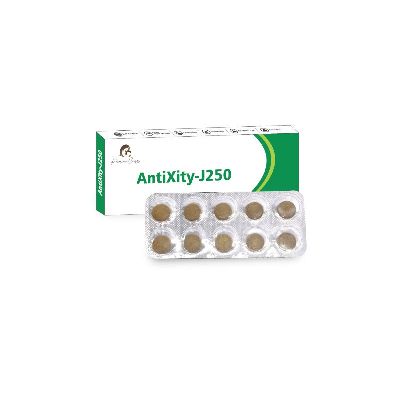 Box of AntiXity-J250 medication with a blister pack of ten round tablets in front.