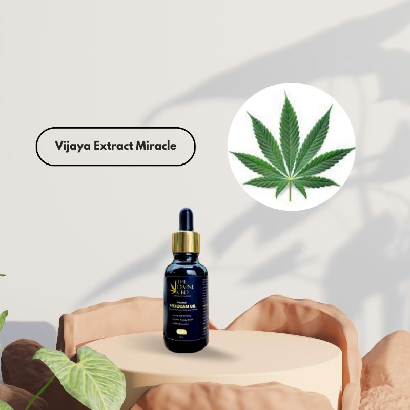 Advertisement for Paarmi Cares' Anandam Oil with a dark blue bottle, golden cap, cannabis leaf graphic, and text "Vijaya Extract Miracle."
