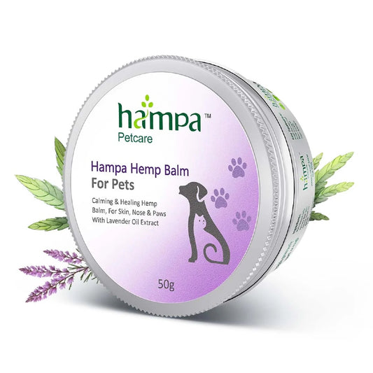 Hampa Hemp Balm for pets with lavender oil extract on a white background