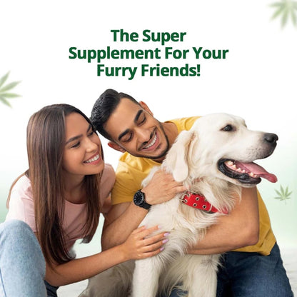 Couple with a dog, promoting a 'Super Hemp Supplement For Your Furry Friends' on a light green background.