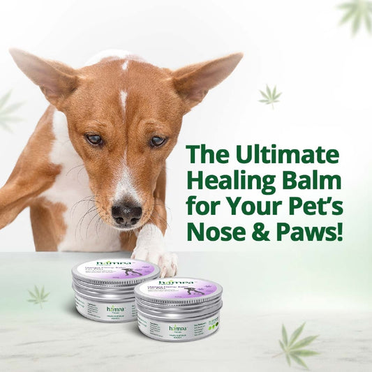 Dog with 'hima' balm jars and text about a healing balm for pets' nose and paws.