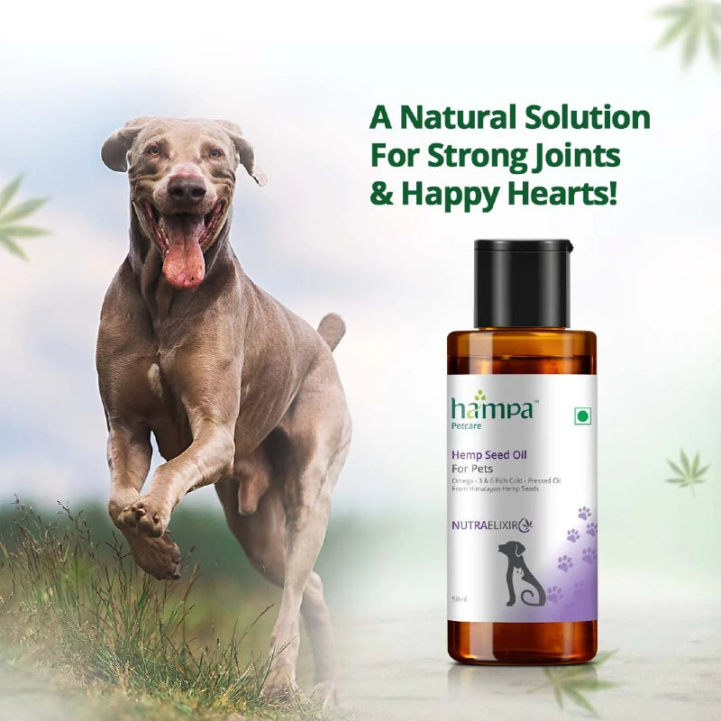 Hemp seed oil bottle for pets with a running dog and text about joint health on a blurred nature background