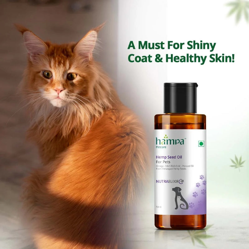 Cat with a bottle of hampa Hemp Seed Oil for Pets on a light background