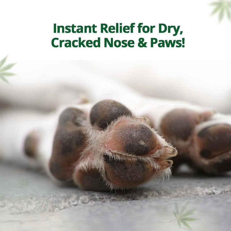 Close-up of a dog's paw with cracked skin, text 'Instant Relief for Dry, Cracked Nose & Paws!' on a blurred background.