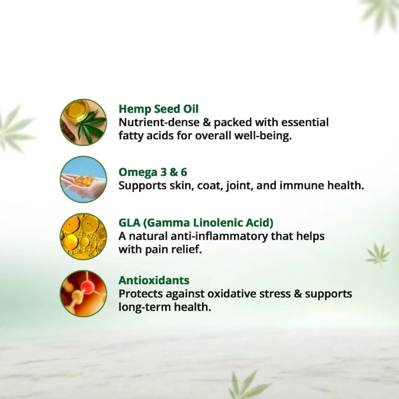 Text detailing the benefits of hemp seed oil, omega 3 & 6, GLA, and antioxidants on a light green background with hemp plant illustrations.