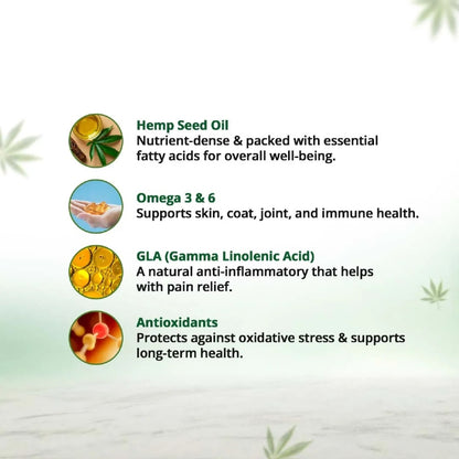 Text detailing the benefits of hemp seed oil, omega 3 & 6, GLA, and antioxidants on a light green background with hemp plant illustrations.