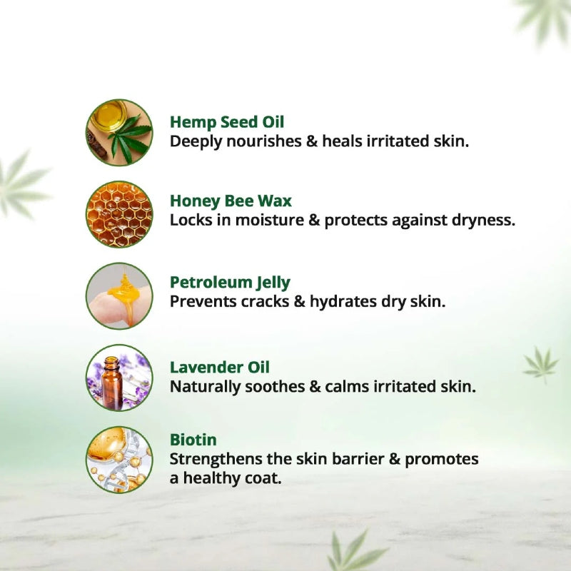 List of skincare ingredients with icons and descriptions on a light green background.