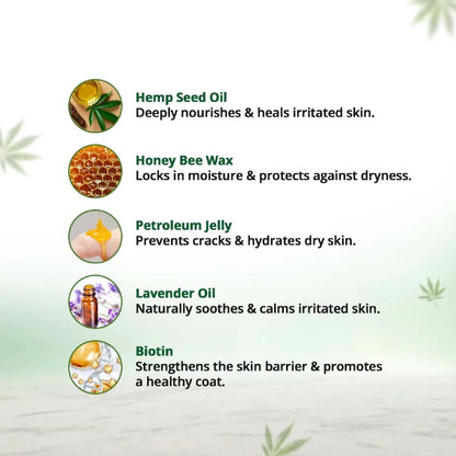 List of skincare ingredients with icons and descriptions on a light green background.