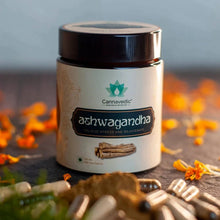 Load image into Gallery viewer, A container of Cannavedic Ashwagandha surrounded by capsules, powder, and orange marigold petals.
