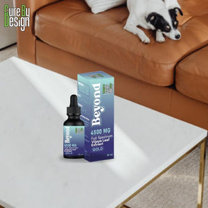 Cure By Design CBD Oil with a blue label on a white surface, with a dog sitting on a brown couch in the background.