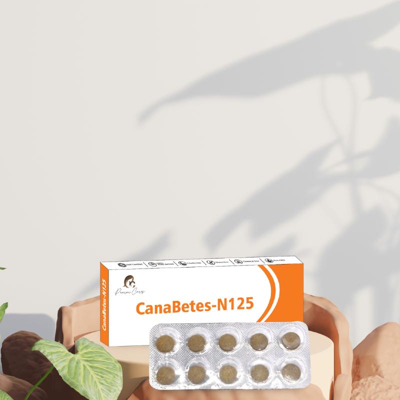 Blister pack of pills in front of a box labeled "CanaBetes-N125" with a plant shadow in the background.