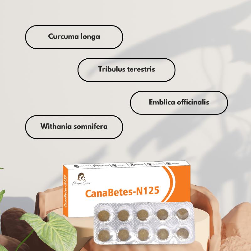 CanaBetes-N125 box with a blister pack of pills, labeled with "Curcuma longa," "Tribulus terrestis," "Emblica officinalis," and "Withania somnifera."