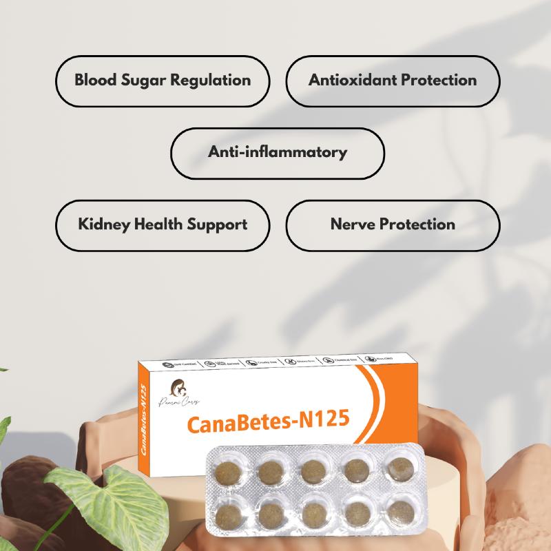 CanaBetes-N125 product with its benefits listed as Blood Sugar Regulation, Antioxidant Protection, Anti-inflammatory.
