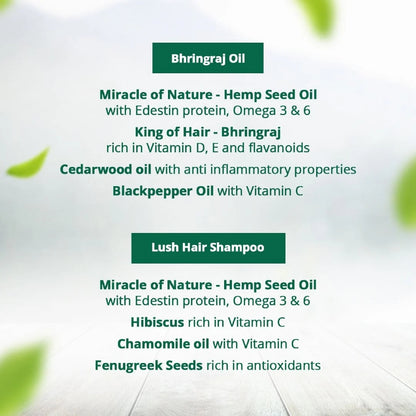 Text detailing the ingredients of a Hemp hair care product with green leaves on a light background