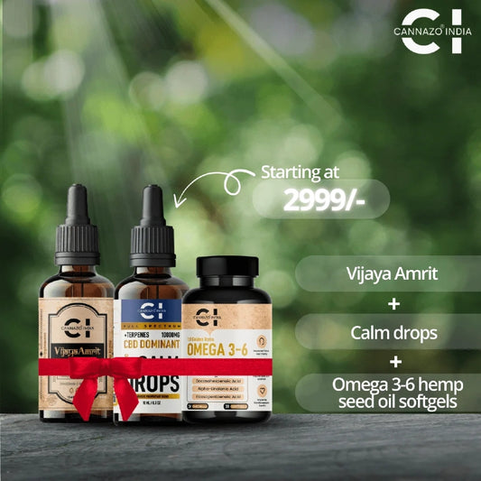 Three CBD Product bottles with labels on a dark surface against a blurred green background, featuring Cannazo India products.