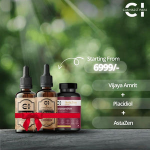 Three CBD Oil bottles with labels on a dark surface against a blurred green background, featuring Cannazo India branding.