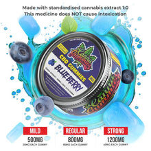 Load image into Gallery viewer, Natural CBD Supplement - Blueberry Gummies in Tin
