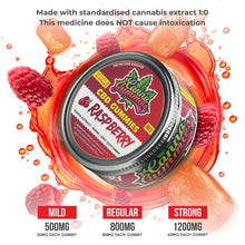 Load image into Gallery viewer, Round tin containing vibrant raspberry-flavored CBD gummies.
