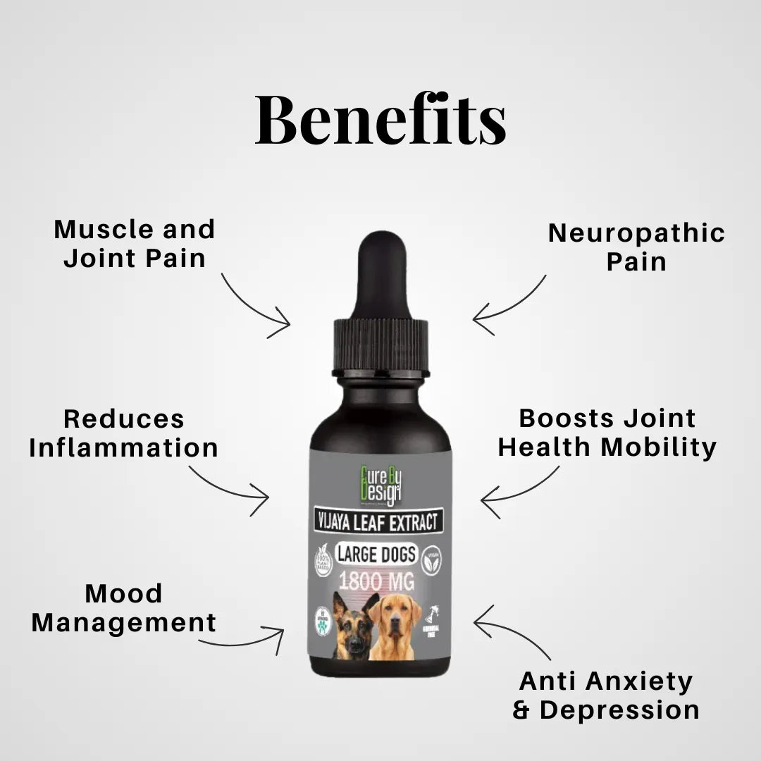 Bottle of Flora Leaf Extract for large dogs with labeled benefits on a white background