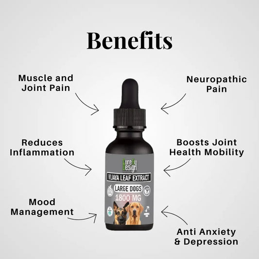 Bottle of Flora Leaf Extract for large dogs with labeled benefits on a white background