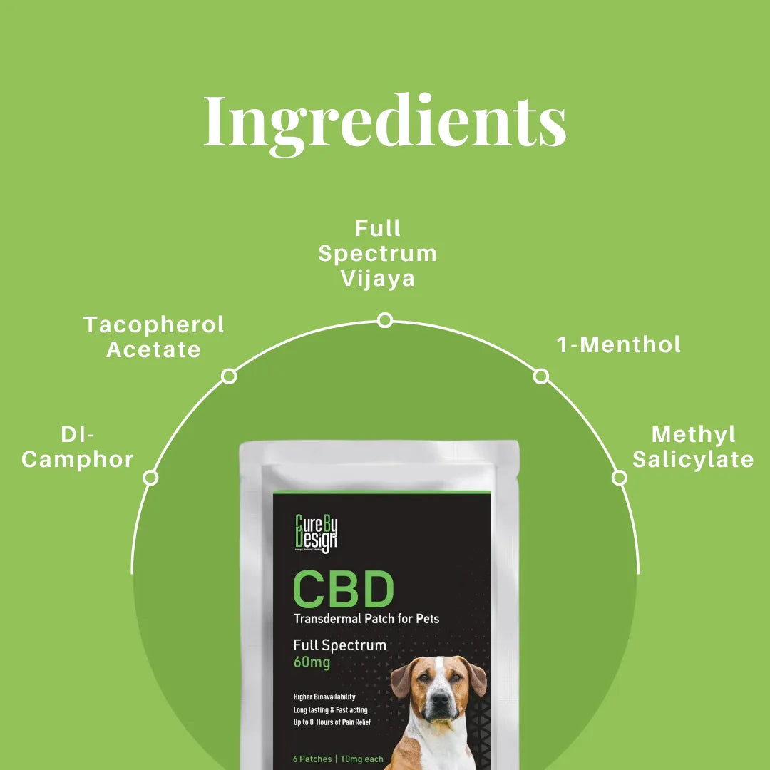 CBD transdermal patch for pets with ingredient list on a green background