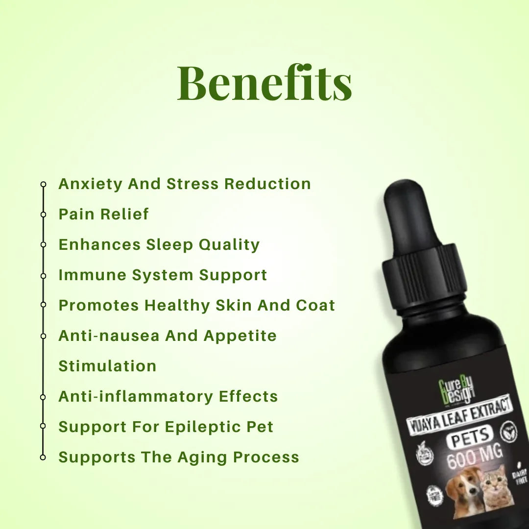 CBD product bottle with benefits listed on a green background