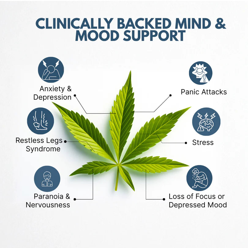An infographic with a large green cannabis leaf in the center on a white background, surrounded by dark blue circular icons and text listing conditions such as anxiety, depression, panic attacks, restless legs syndrome, stress, paranoia, and loss of focus. The headline at the top reads 'Clinically Backed Mind & Mood Support'.