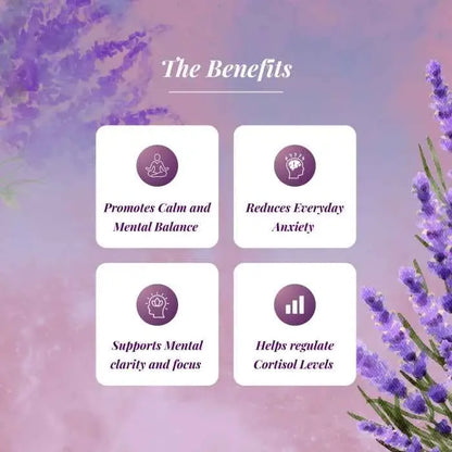 Calma: The Total Calm Protocol