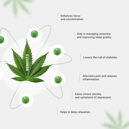 Infographic with a cannabis leaf listing benefits like pain relief, focus, and sleep improvement.
