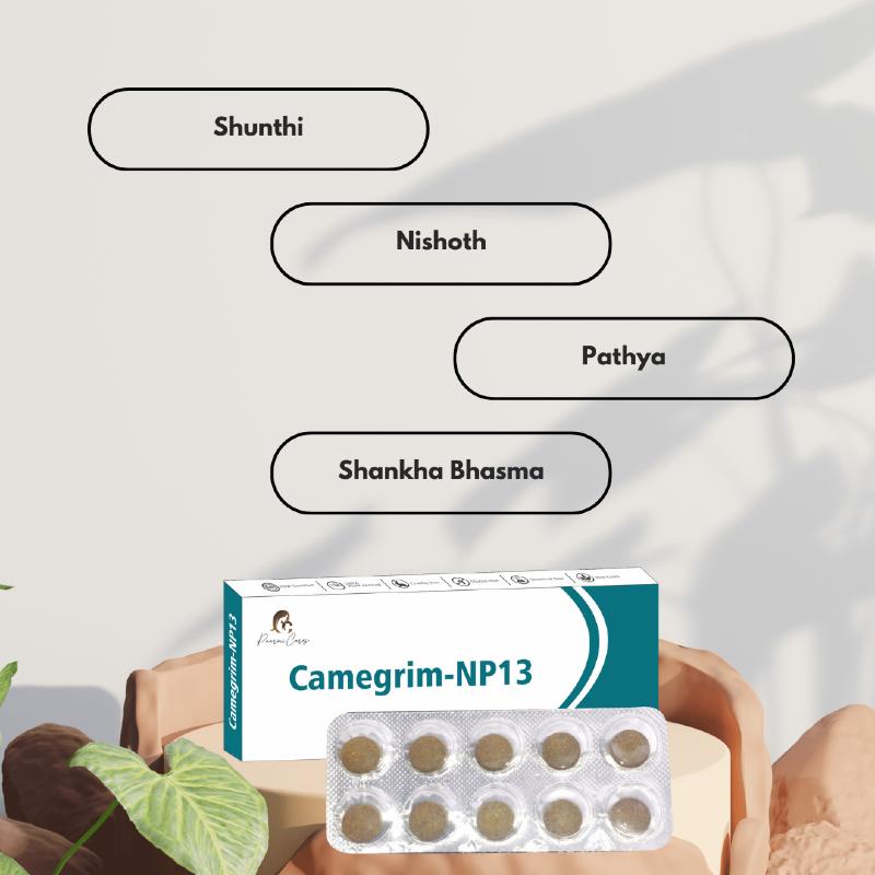 Box and blister pack of Camegrim-NP13 tablets with ingredient text bubbles above.