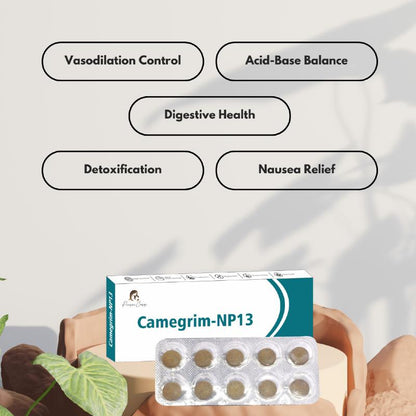 Product package labeled "Camegrim-NP13" with a blister pack of ten pills below it and five health benefit icons above.