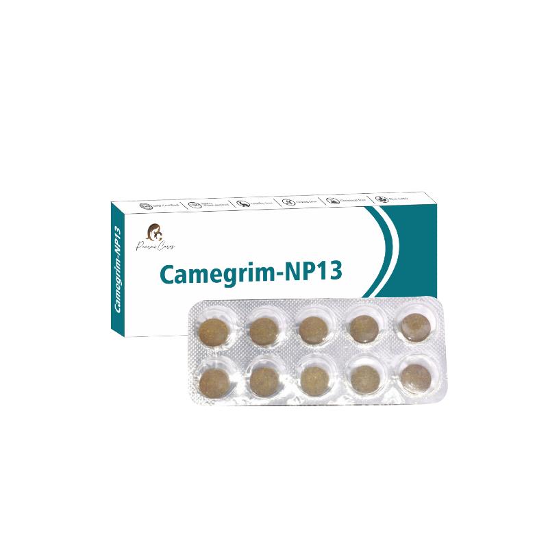 Blister pack of 10 pills in front of a box labeled "Camegrim-NP13."