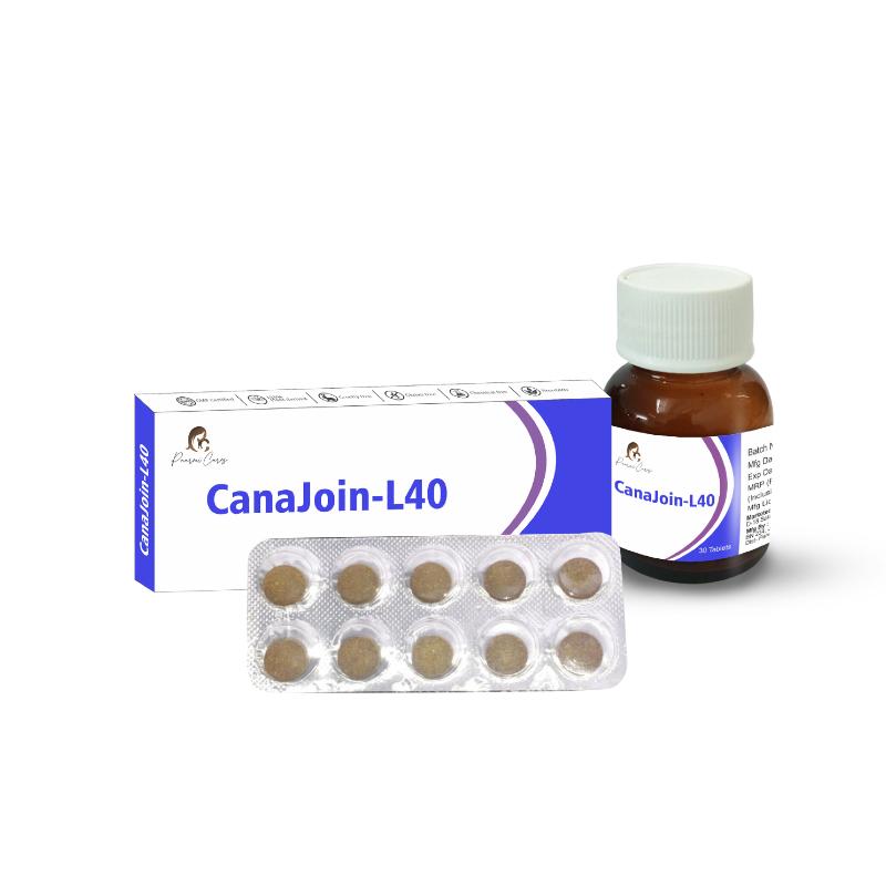 Medication package of CanaJoin-L40 by Paarmi Cares, including a box, a bottle, and a blister pack with ten tablets.