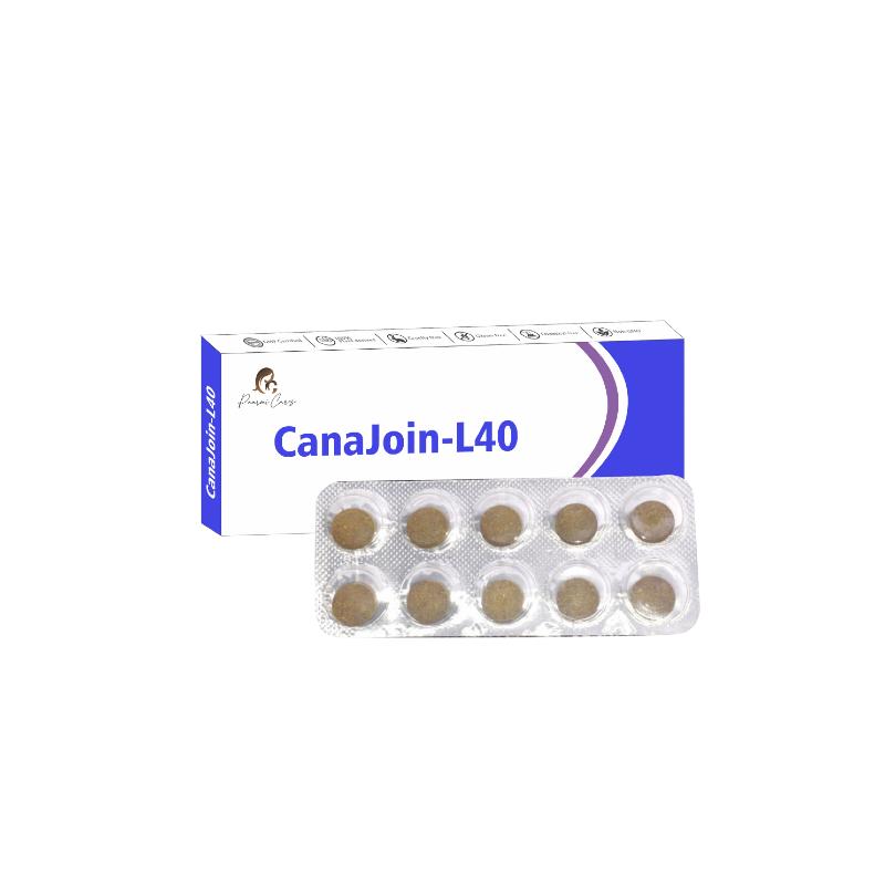 Blister pack with ten round brown tablets in front of a white box labeled CanaJoin-L40 by Paarmi Cares.