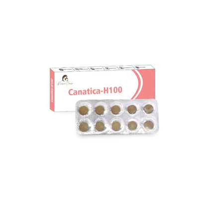 Box and blister pack of Canatica-H100 tablets from Paarmi Cares.