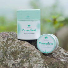 Load image into Gallery viewer, Containers of Cannavedic Cannaheal Ayurvedic Hemp Salve on a rock.
