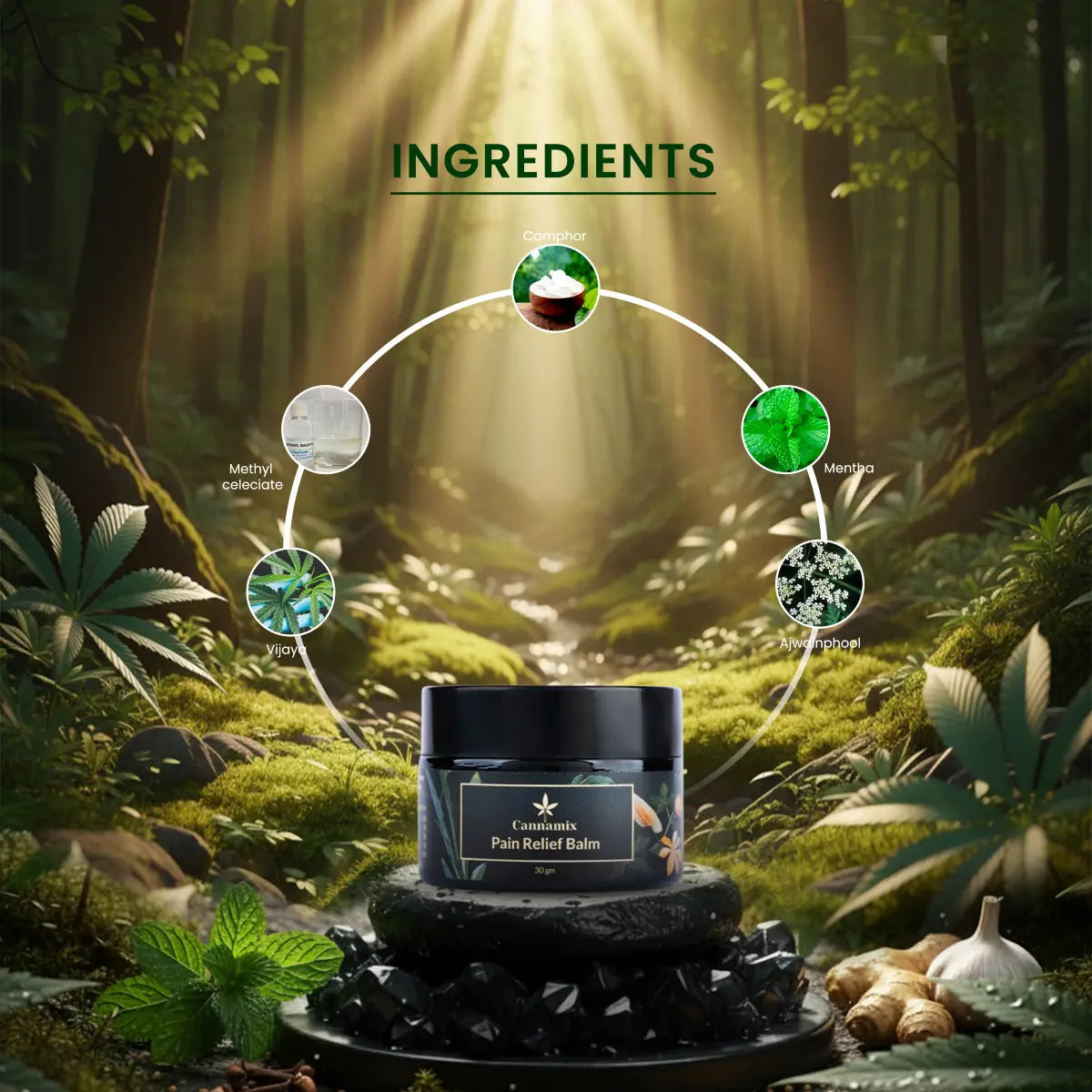 Cannabis pain relief balm jar with ingredient labels in a forest setting