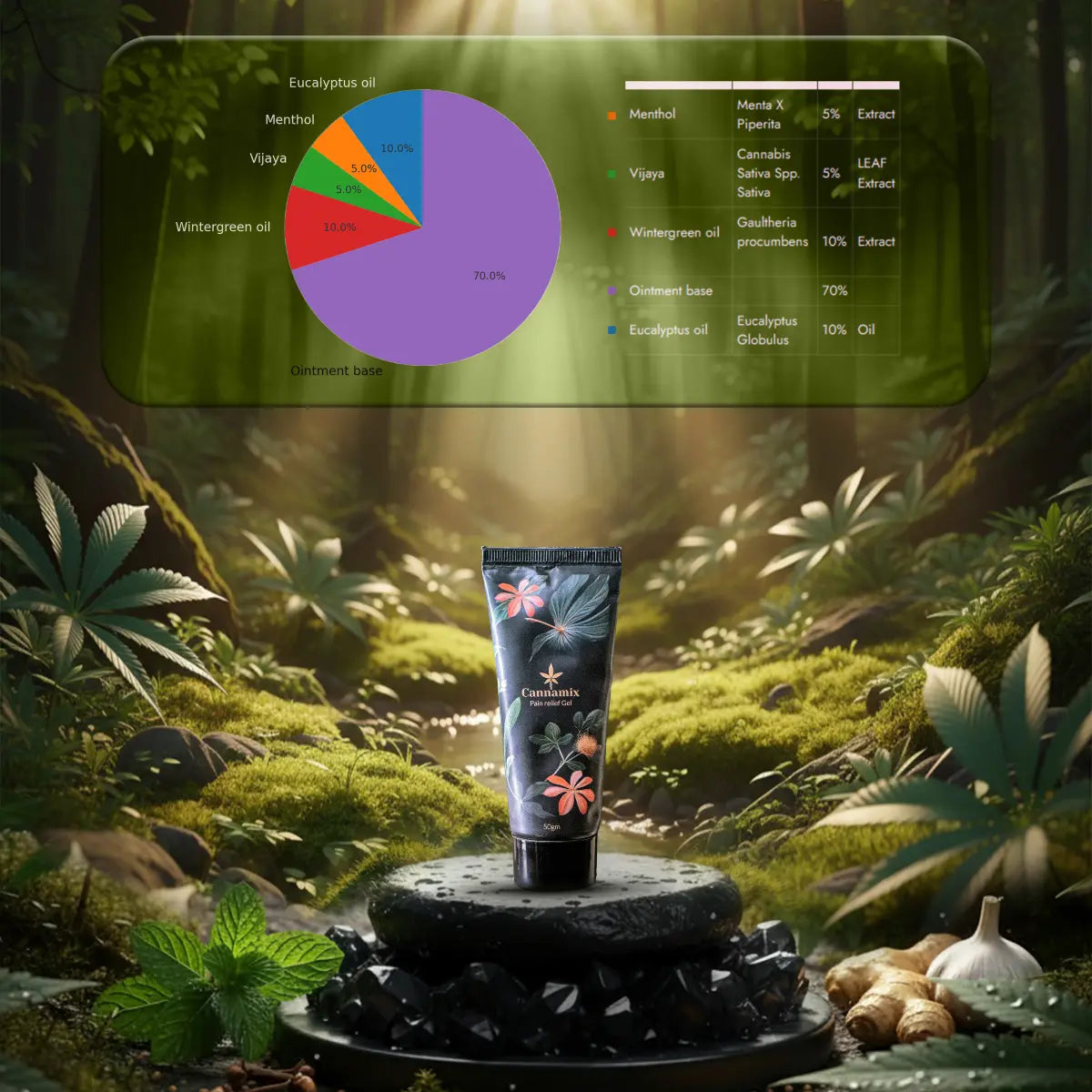 Cannamix Pain Relief Gel tube with botanical design in a forest setting, featuring a pie chart and text overlay.