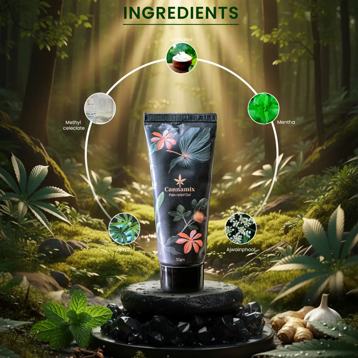 Cannamix product tube with ingredient circles on a forest background