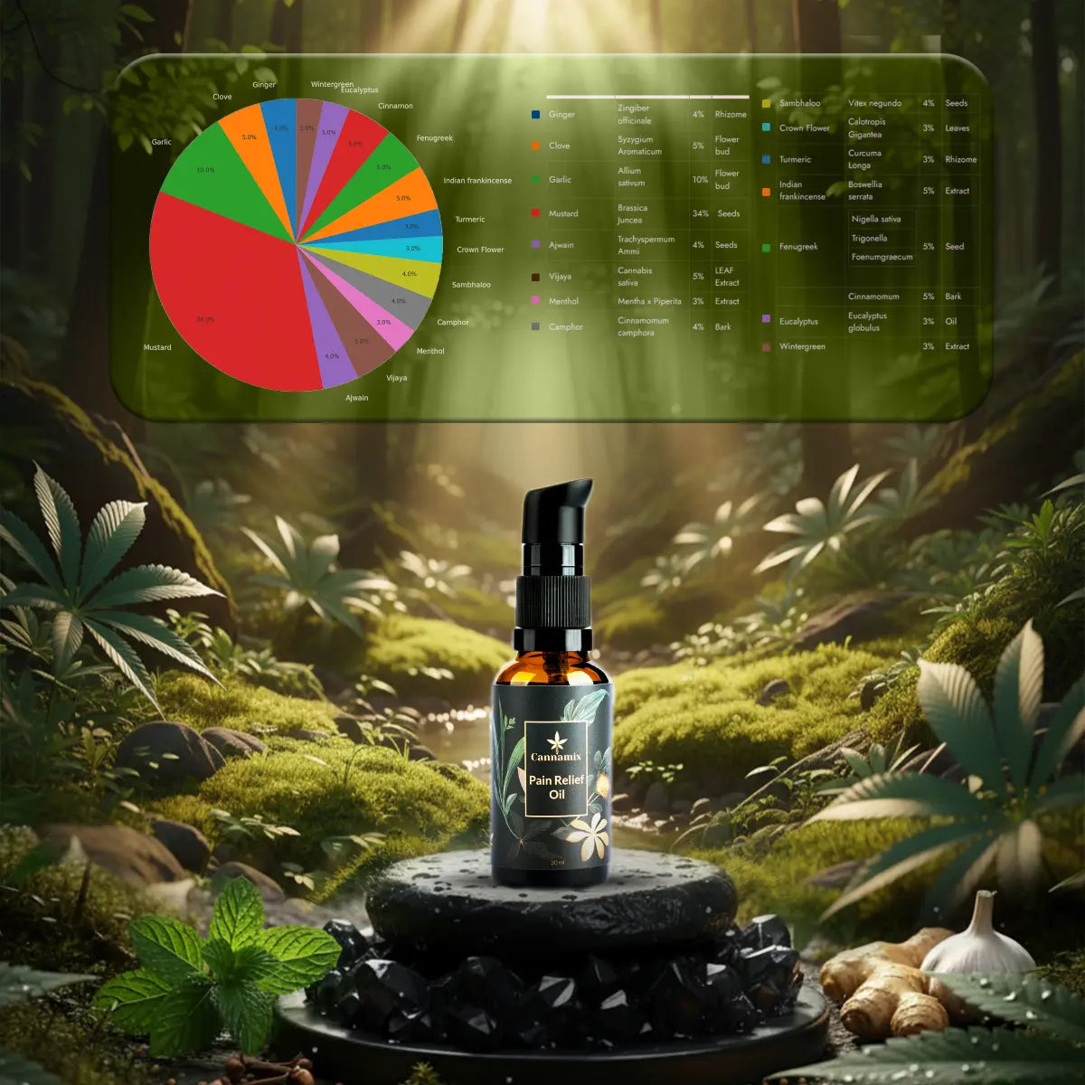 Bottle of Cannamix Pain Relief Oil in a natural setting with plants and a pie chart overlay.