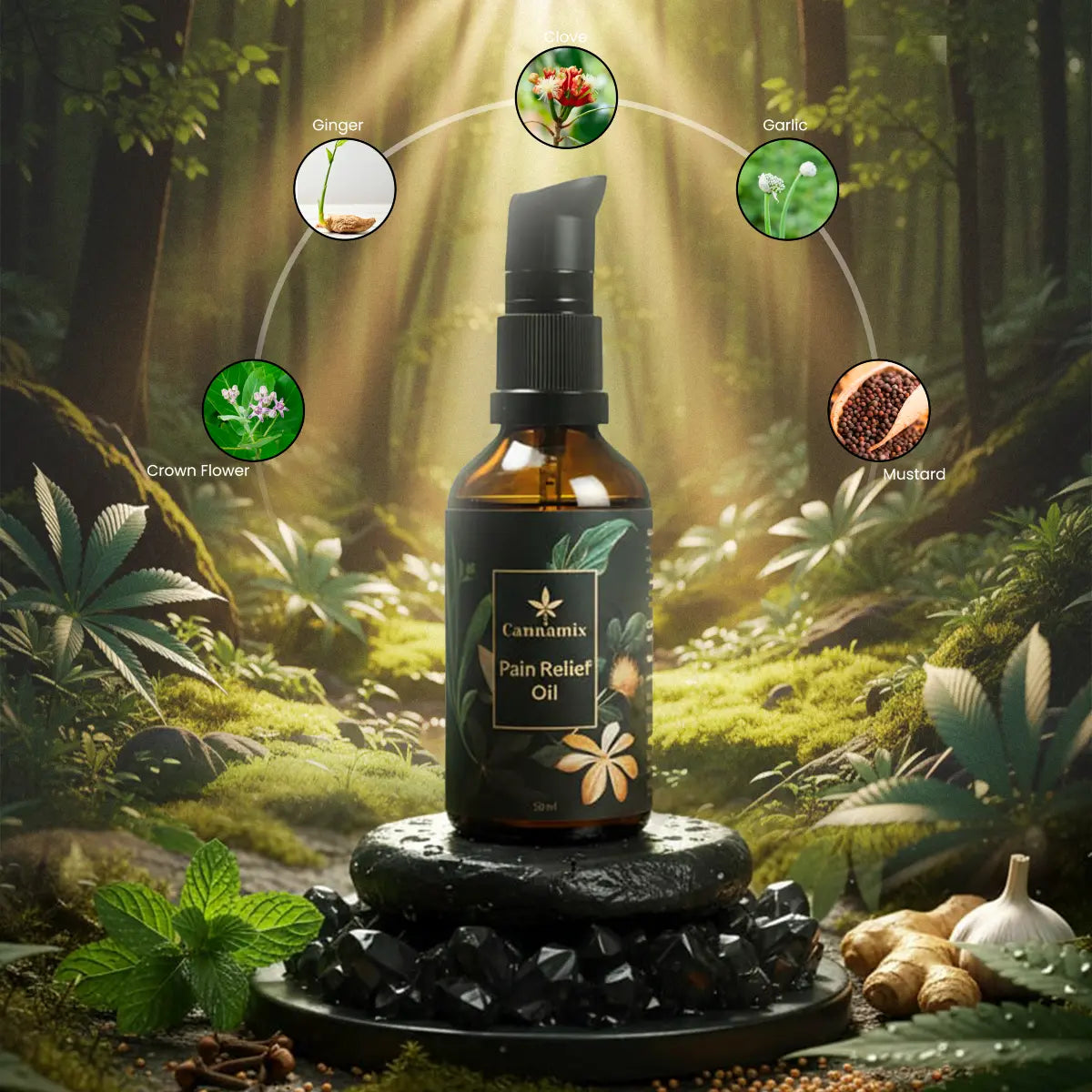 Bottle of cannamix pain relief oil with natural ingredients on a forest background