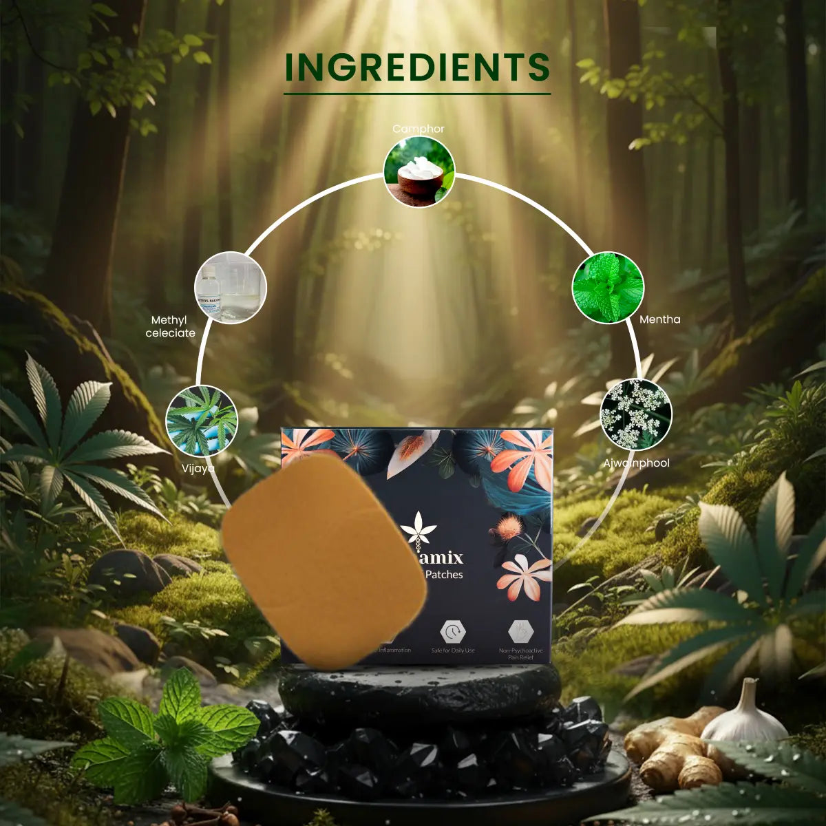Patch and packaging with ingredient labels against a forest background