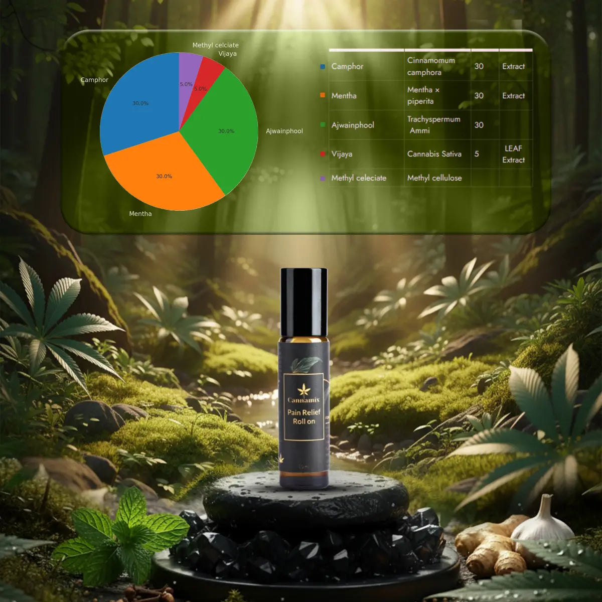 Cannamix Roll-on bottle with a botanical background and a pie chart