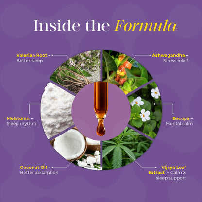 An infographic on a purple background titled 'Inside the Formula' showing a central amber dropper surrounded by five labeled ingredient sections: valerian root, ashwagandha, melatonin, bacopa, and vijaya leaf extract, with small photos of herbs, powder, and leaves.