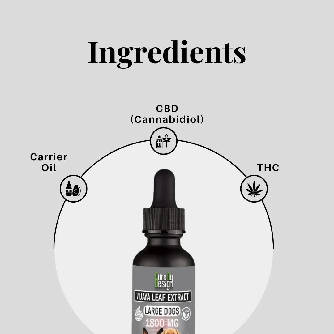 CBD oil bottle with labeled ingredients on a gray background
